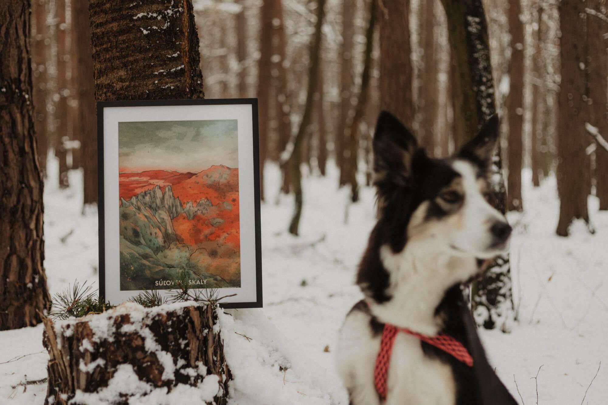 Súľovské skály – Tina Minor