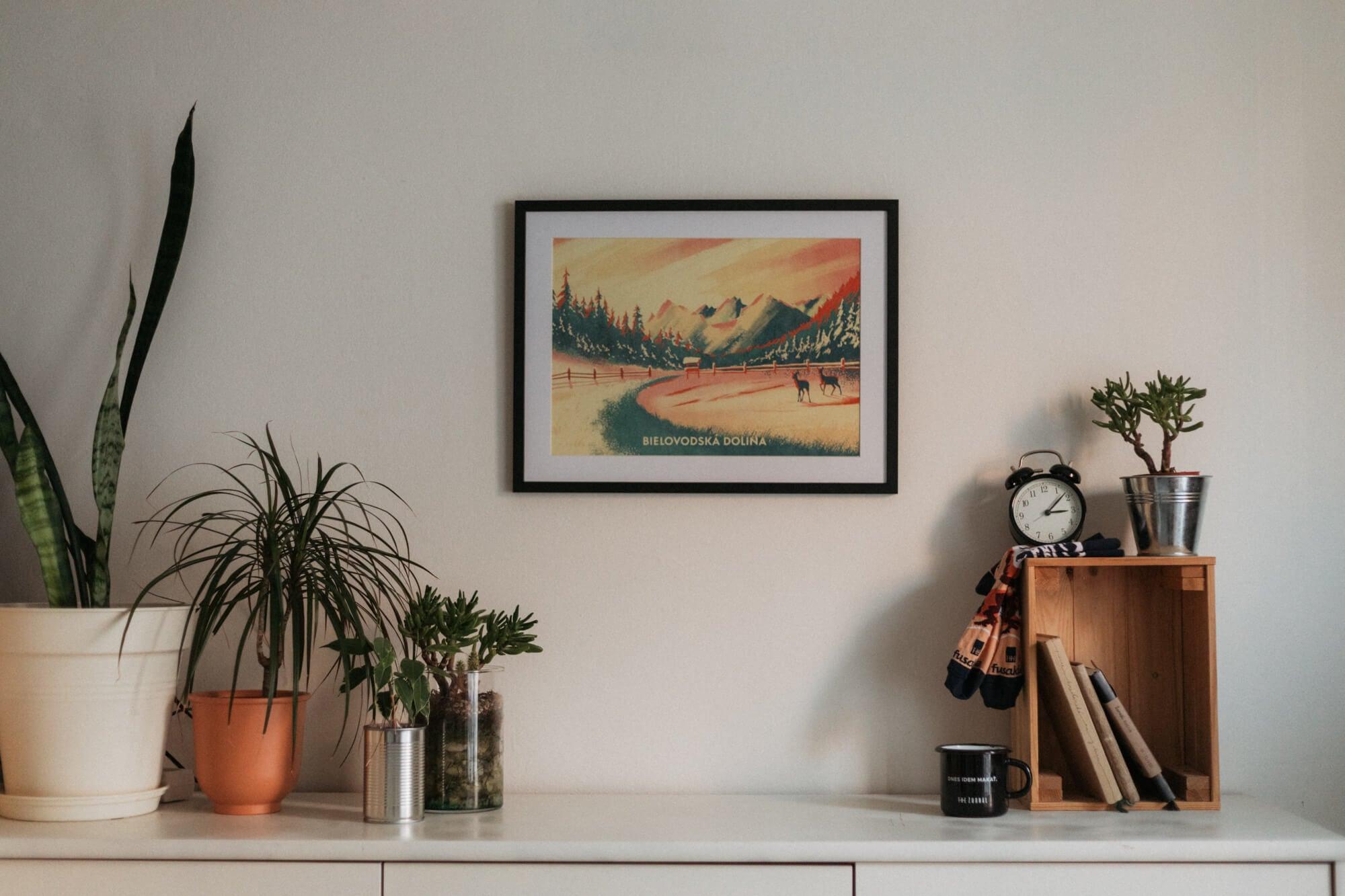 Bělovodská dolina - Adrián Macho