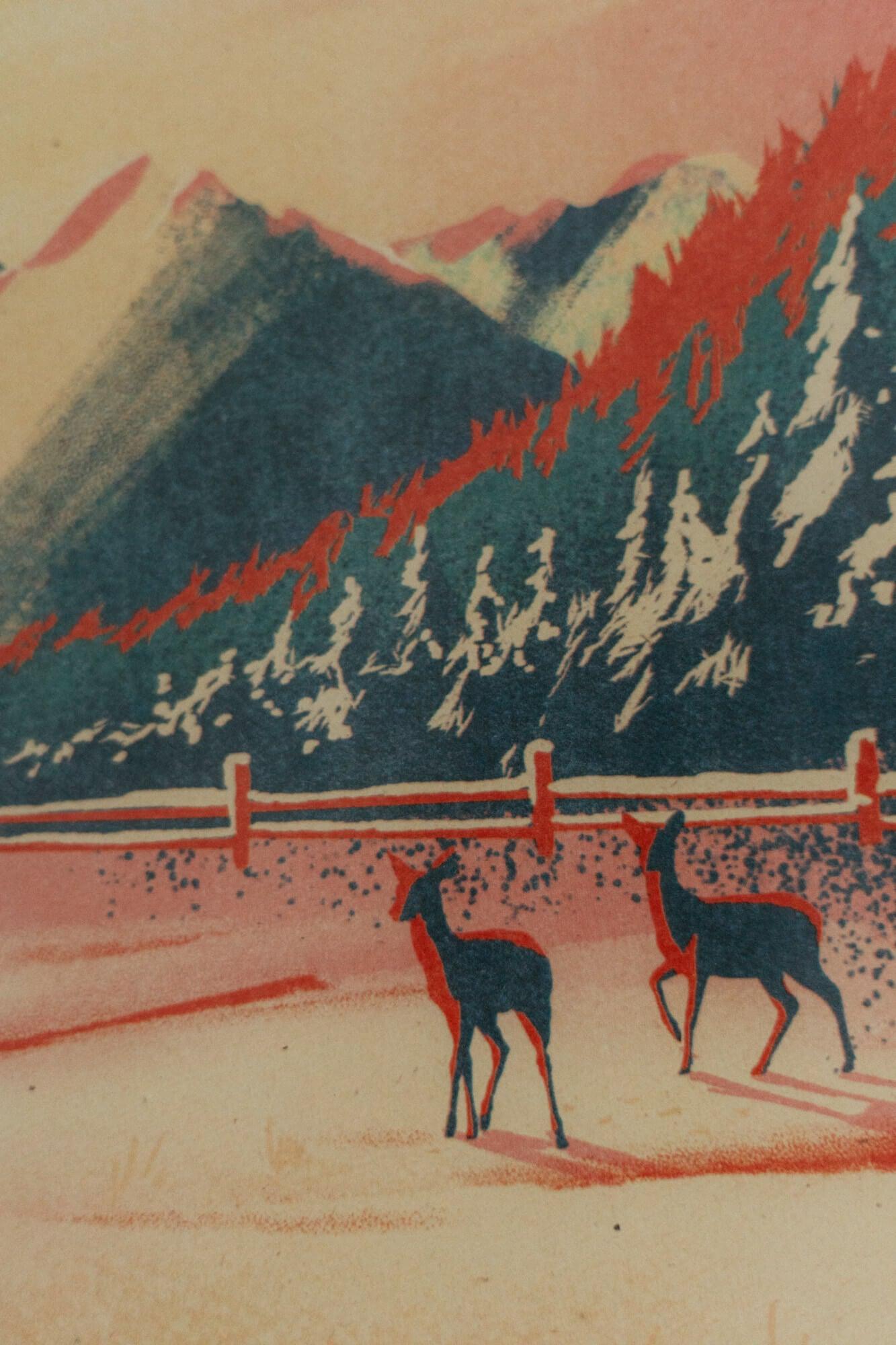 Bělovodská dolina - Adrián Macho