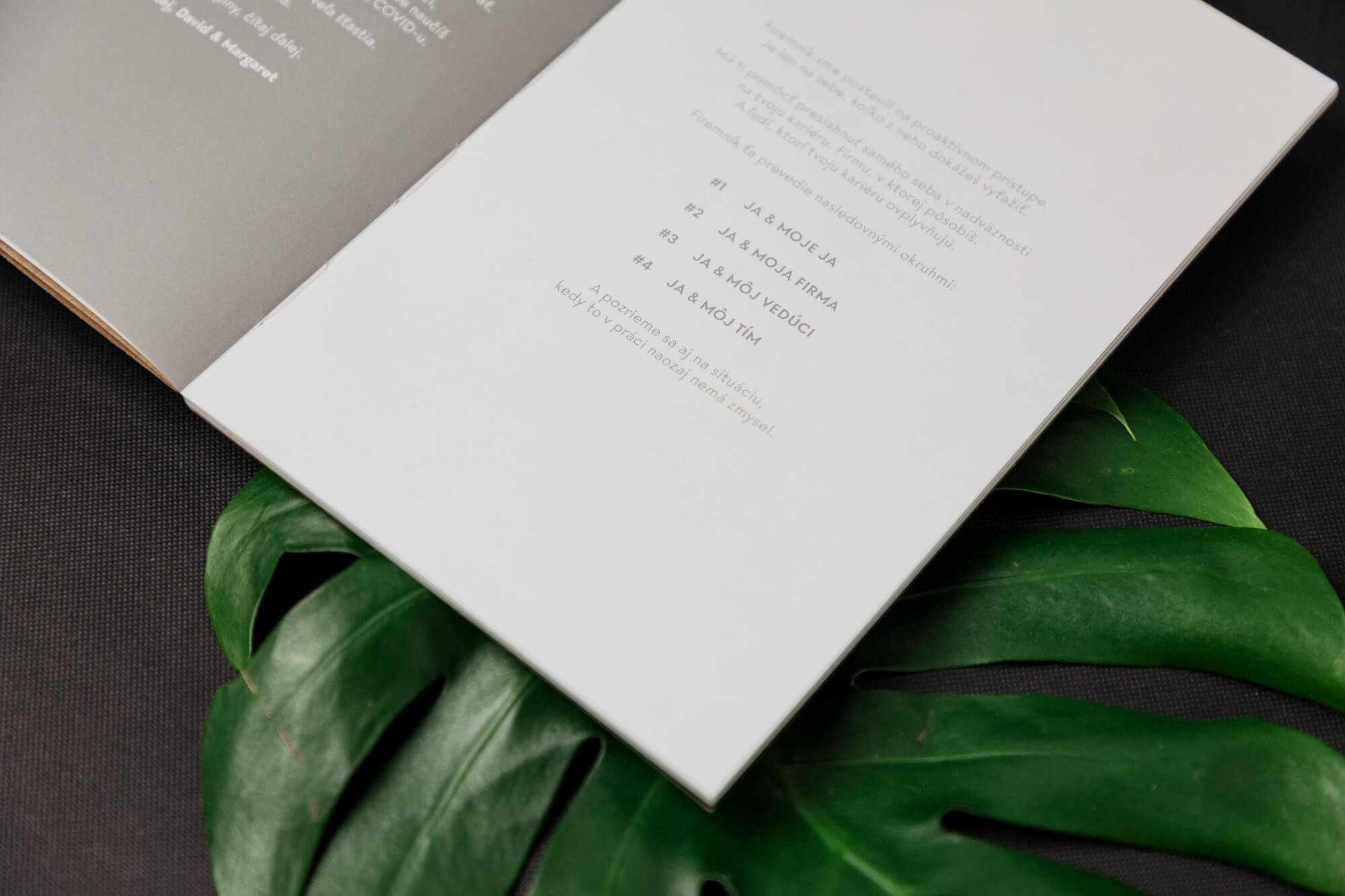 Firemník – česká verze