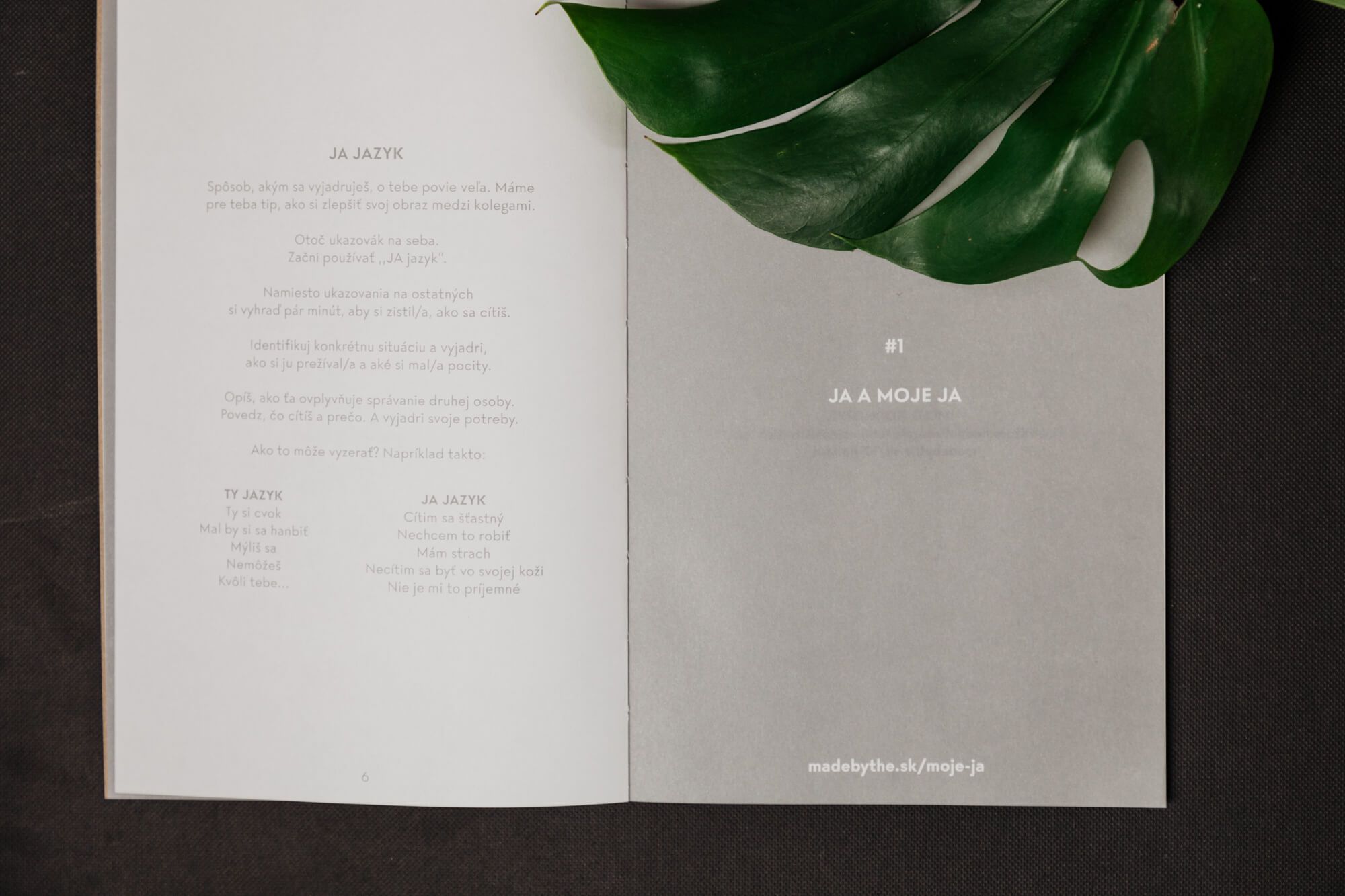 Firemník – česká verze