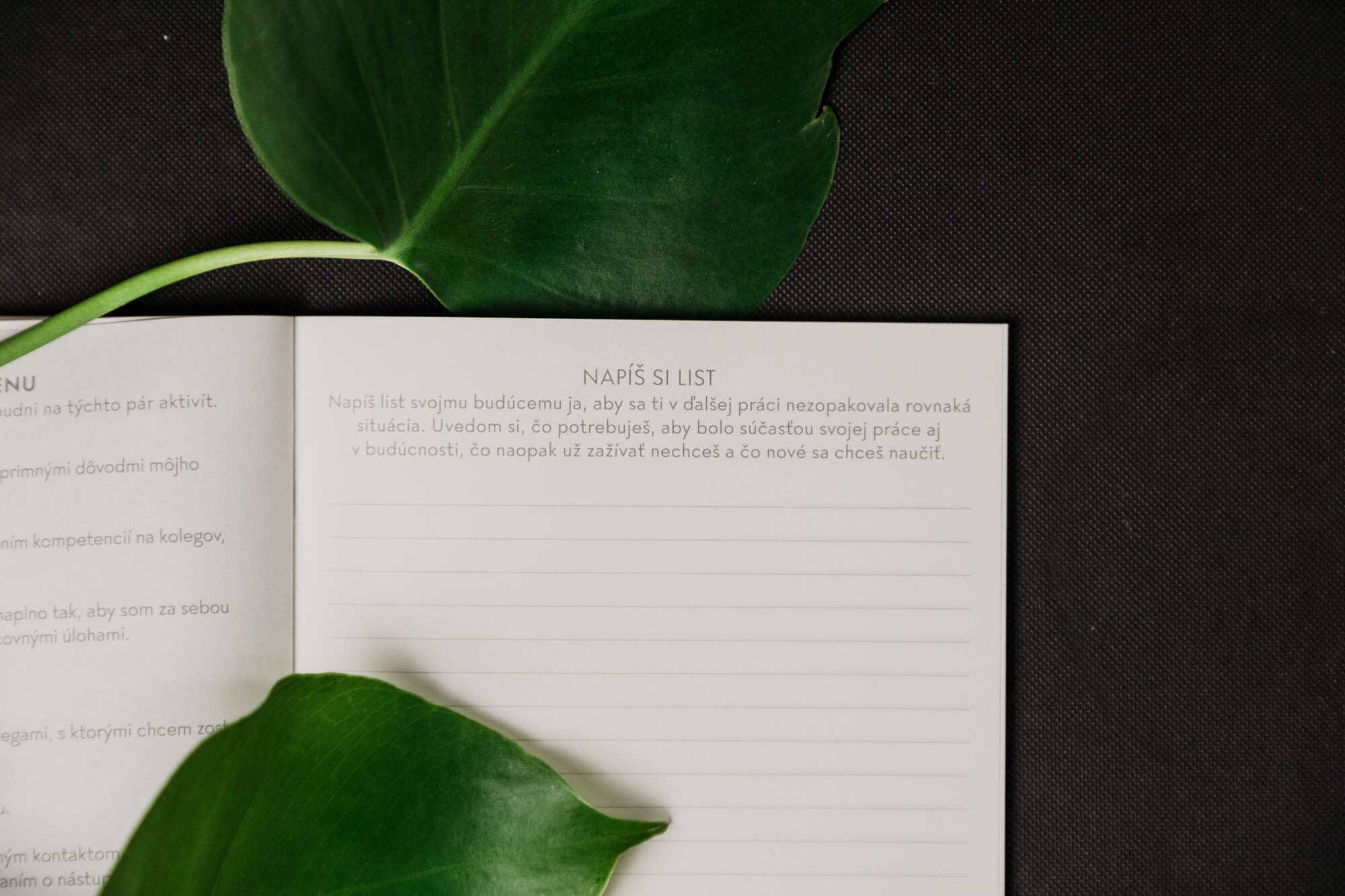 Firemník – česká verze