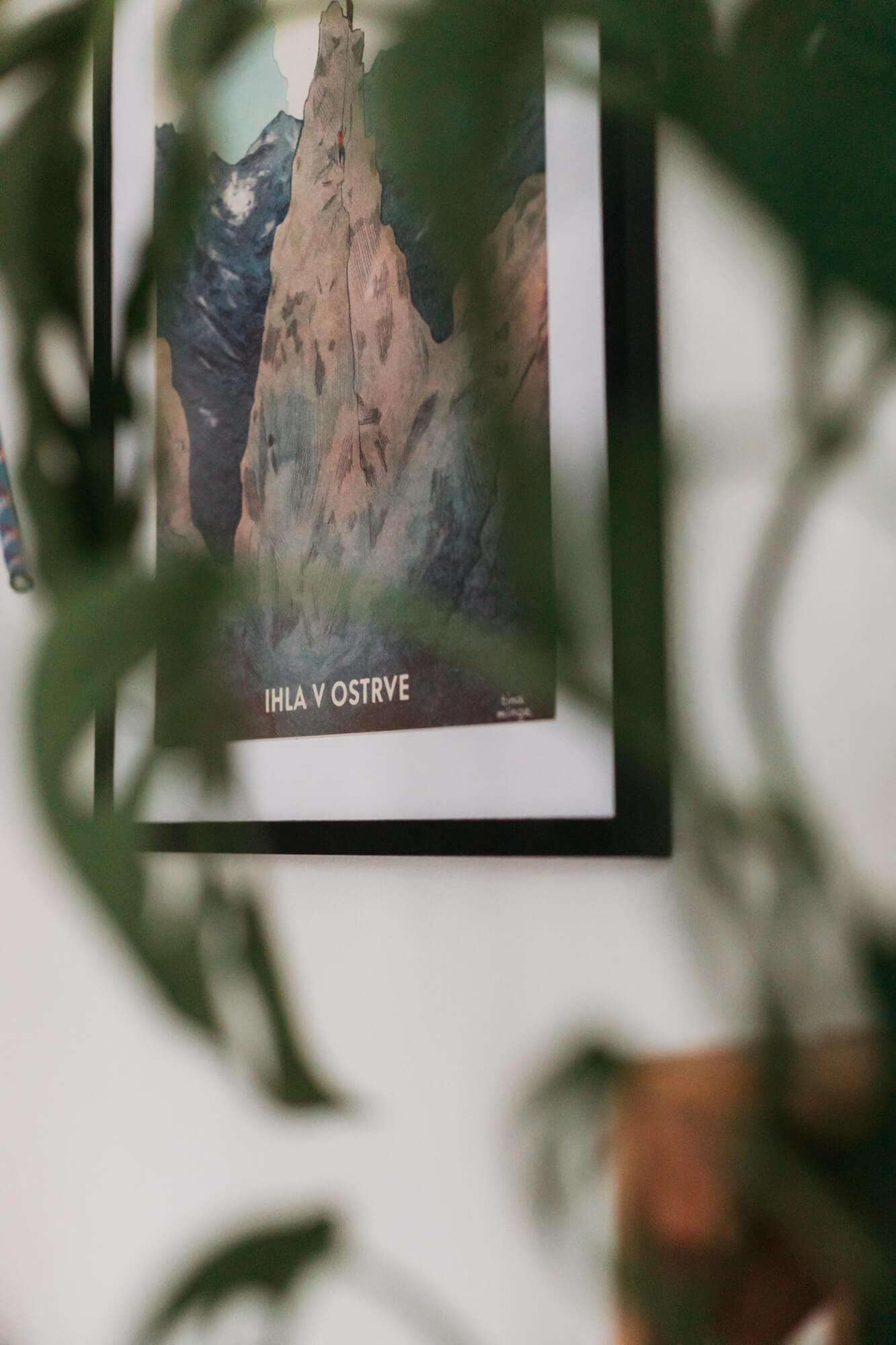 Jehla v Ostrvě – Tina Minor