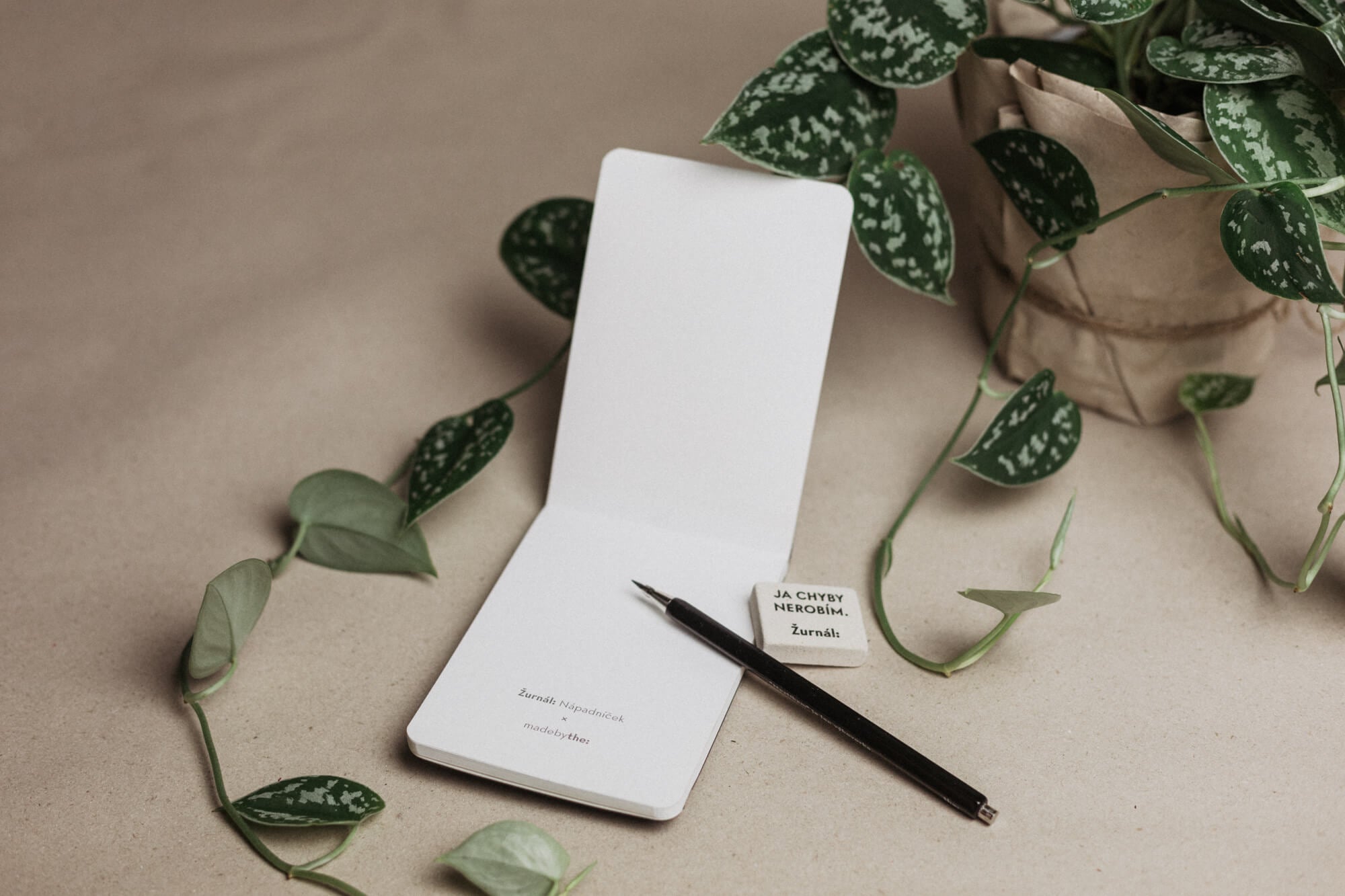 Nápadníček - II.jakost