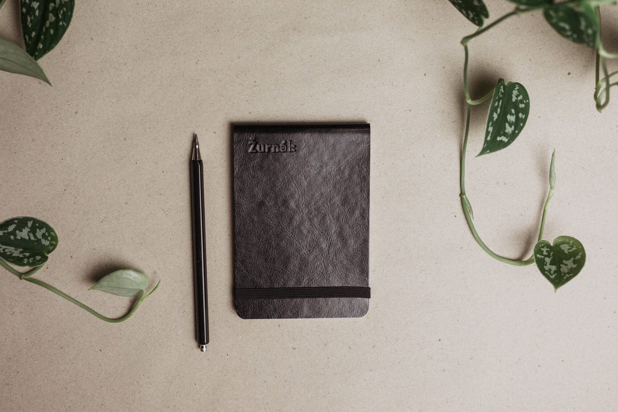 Nápadníček - II.jakost