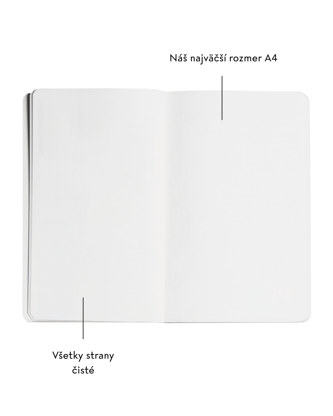 Skicař