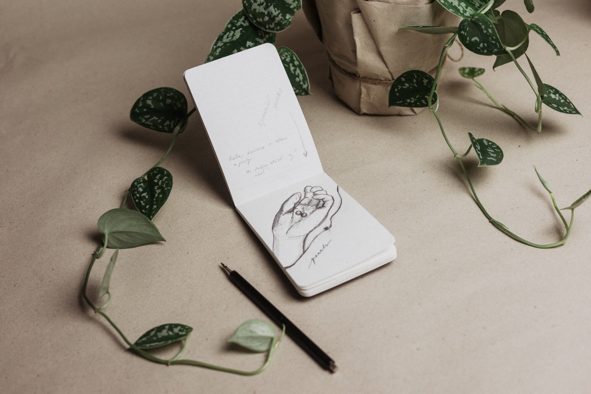 Nápadníček - II.jakost